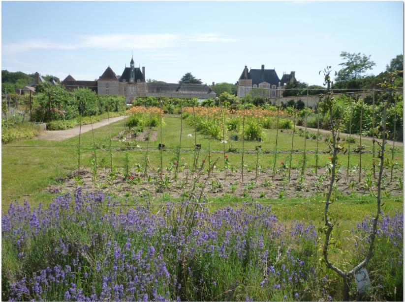 ESCAPADE de CINQ JOURS dans le LOIRET et l’YONNE du 15 au 19 juin 2026